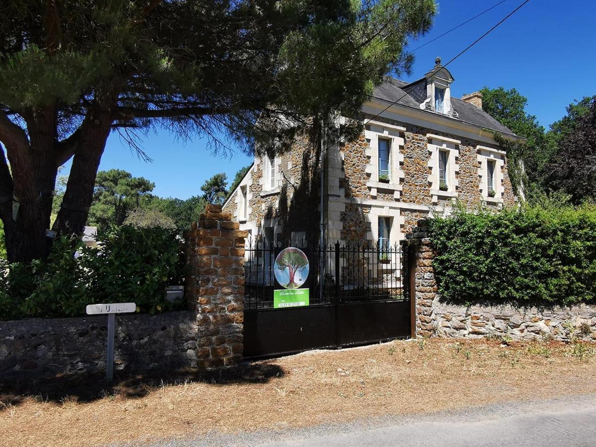 Quatre Chats Sous Un Pin Le Thoureil Exterior foto